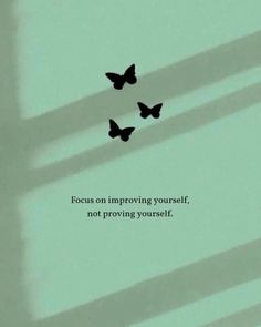 two butterflies flying in the air with a quote below it that says focus on imppoing yourself, not providing yourself