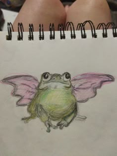 a drawing of a frog with wings on it's back, sitting in front of a notebook