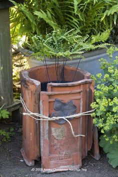 a potted plant with sticks sticking out of it's top in front of some plants