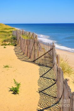 a wooden fence on the beach next to the ocean