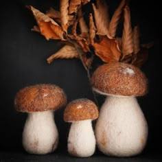 three small mushrooms sitting next to each other on top of a table with leaves in front of them