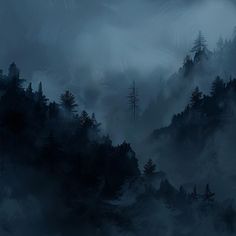 a dark forest filled with lots of trees covered in fog and smoggy clouds