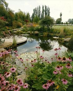 a pond surrounded by lots of flowers and greenery