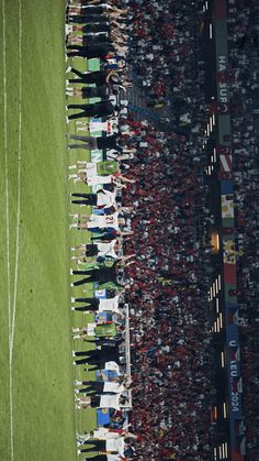 a group of people standing on top of a lush green field next to each other