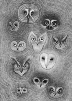 an owl drawing with many different owls in it's eyes and the other faces