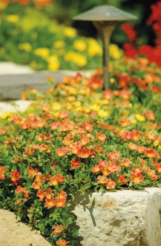 the flowers are blooming in the garden next to the lamp post and stone wall