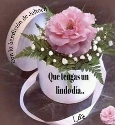 a pink flower in a white cup with the words que tengas un indodia