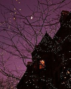 the night sky is lit up with christmas lights