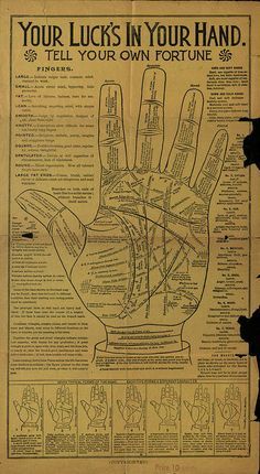 Palm Reading Lines, Palm Reading Charts, Palmistry Reading, Kartu Tarot, Reading Posters, Reading Charts, Spirituality Posters, Palm Reading, Fortune Telling