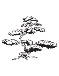 a black and white drawing of a bonsai tree with clouds in the sky behind it