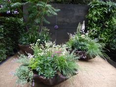 there are many different types of plants in the planter area, including lavenders and other flowers