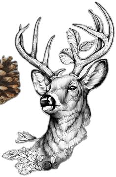 a drawing of a deer with antlers on it's head and pine cones in the background