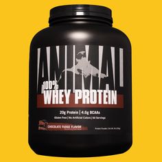 Creatine Powder, Fudge Flavors, 100 Whey Protein, Chocolate Fudge, Whey Protein, Protein Powder, The 100, Nutrition