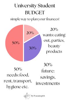 a pie chart with the words university student budget on it and an info sheet below