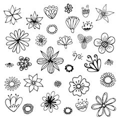 a bunch of different flowers drawn in black and white on a white background with the words,