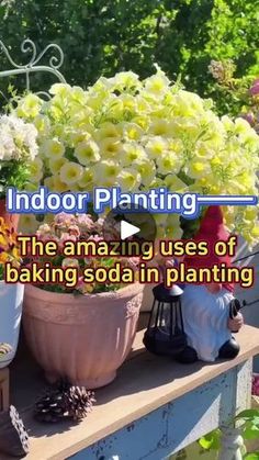 an outdoor planter filled with flowers on top of a wooden table next to other potted plants