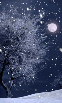 a snow covered tree in front of a full moon at night with stars falling from the sky