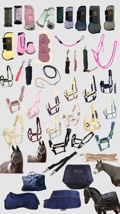 many different types of horse bridles and saddles are shown in this image