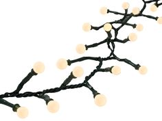 a branch with white lights on it against a white background