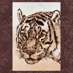 a drawing of a tiger's face is shown