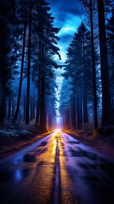 an empty road in the middle of a forest at night