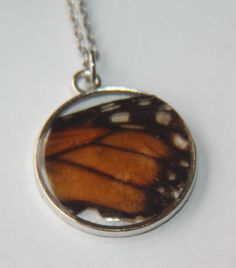 These Monarch wings were found cruelty free and transformed into long lasting, beautiful necklaces! This particular circle pendant is on a long chain. Lansing Mi, Butterfly Wing, Circle Pendant Necklace, Monarch Butterfly, Circle Pendant, Butterfly Wings, Long Chain, Pendant Necklaces, Beautiful Necklaces