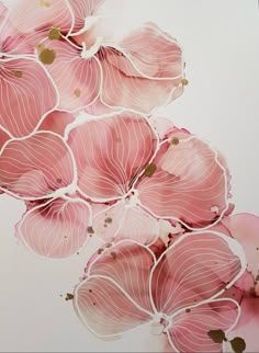 pink flowers are arranged on a white background with gold flecks in the center