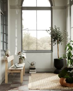 a living room filled with lots of plants next to a large window on top of a wall