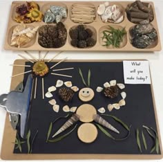 a tray filled with different types of rocks and plants