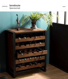 a wooden wine rack with many bottles on it and a potted plant next to it