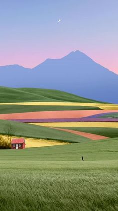 a person walking through a field with mountains in the background and a pink sky above