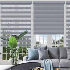 the living room is decorated in shades of grey and white, with large windows that have blinds on them