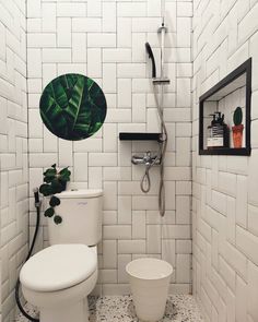 a white toilet sitting in a bathroom next to a shower head mounted on a wall