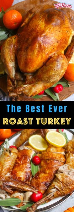 the best ever roast turkey recipe