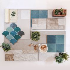 an overhead view of a wall with various tiles and plants on the floor, including succulents