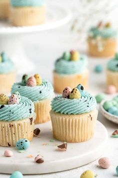 cupcakes with blue frosting and speckled eggs on top sitting on a plate