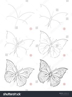 Butterfly Art Drawing Sketches, How To Draw Filigree Step By Step, How To Draw A Butterfly Step By Step, Flower Art Drawing Sketches, Butterfly Drawing Step By Step, Sketches Of Butterflies, Butterfly Step By Step Drawing, Creation Drawing, Trin For Trin Tegning