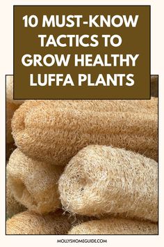 a pile of towels with the title 10 must - know tricks to grow healthy luffa plants