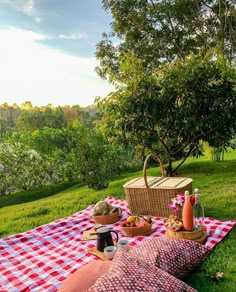 a picnic is set up on the grass