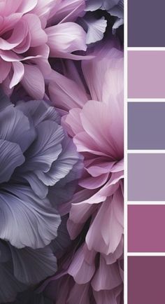 a bunch of flowers that are in the color pink and purple, with different shades to choose from