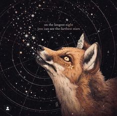 a painting of a fox looking up at the stars