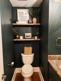 a white toilet sitting inside of a bathroom next to a wooden shelf filled with plants