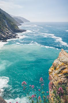 the ocean is blue and green with pink flowers in bloom on the rocks near the shore