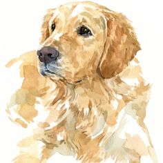 a watercolor painting of a golden retriever dog