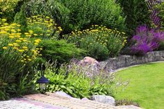 a garden filled with lots of plants and flowers next to a lush green field full of yellow flowers