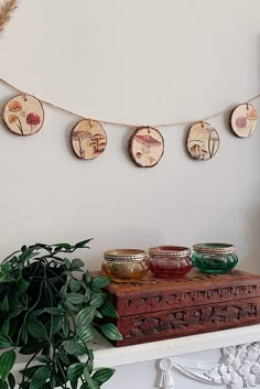 a shelf with some jars and plants on it