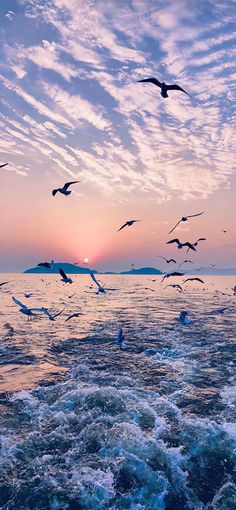 seagulls flying over the ocean at sunset