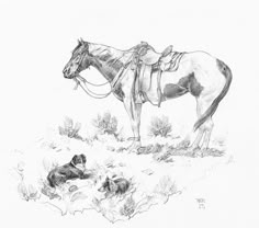 a pencil drawing of a horse and dog in the desert with one laying down on the ground