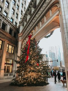 a large christmas tree in the middle of a city