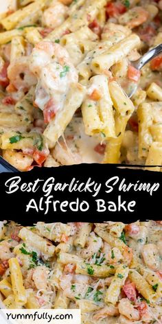 Shrimp Alfredo Bake: creamy, cheesy pasta with garlic and shrimp. Quick, simple, and full of flavor! Shrimp Alfredo Bake, Pancakes And Syrup, Creamy Cheesy Pasta, Light Pasta Dishes, Shrimp Pasta Recipes Easy, Pasta With Garlic, Garlicky Shrimp, Alfredo Bake, Creamy Alfredo Sauce